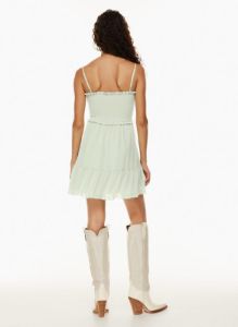 tempest sleeveless mini dress sold by Aritzia