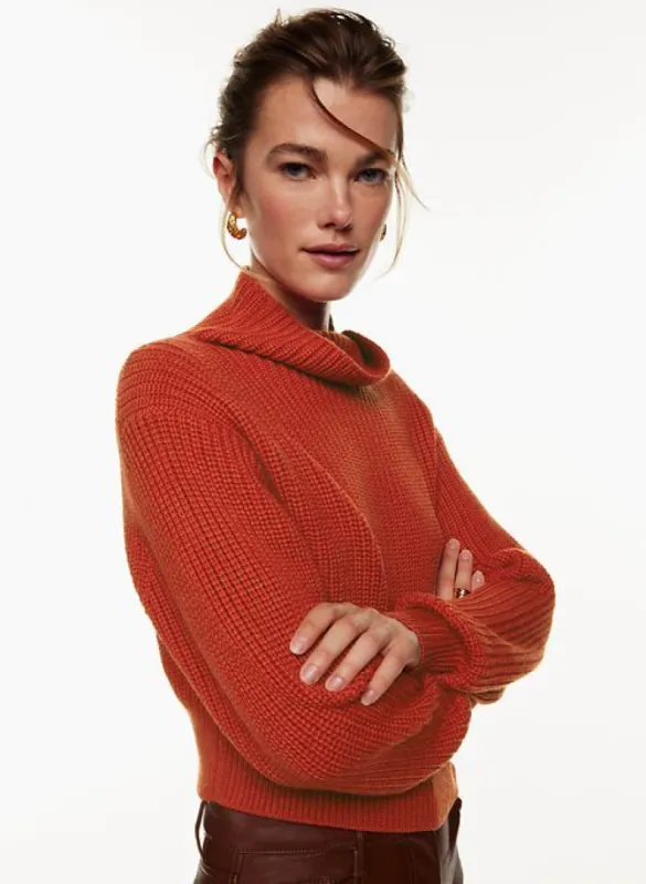montpellier waist turtleneck sold by Aritzia