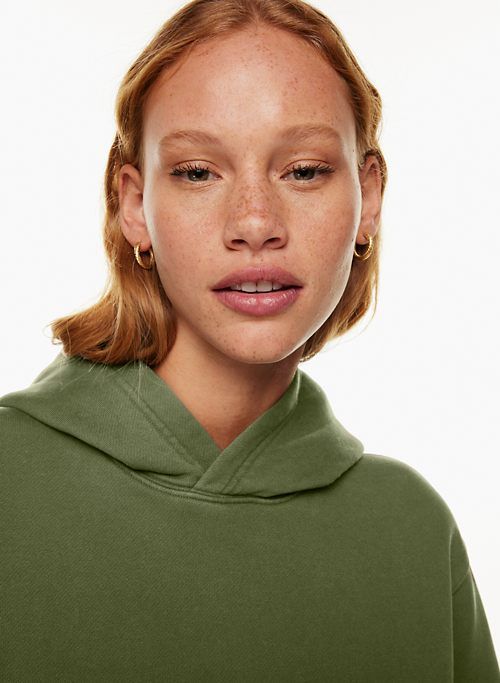 cozy fleece perfect hoodie sold by Aritzia product image thumbnail 2