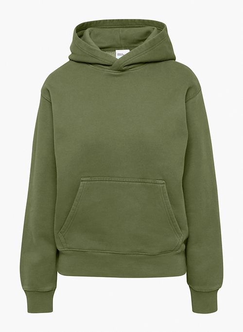 cozy fleece perfect hoodie sold by Aritzia product image thumbnail 6