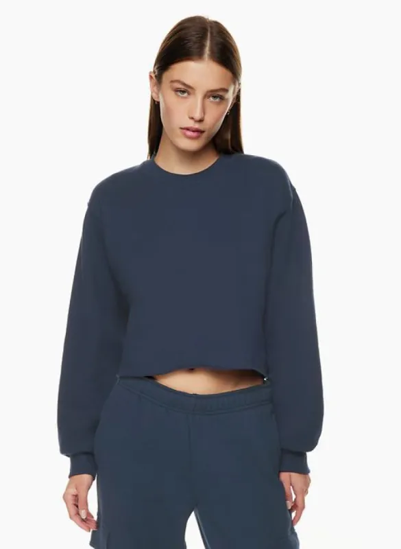 cozy fleece perfect cropped sweatshirt sold by Aritzia