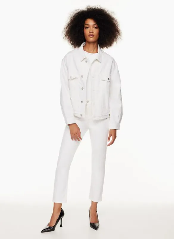 charli denim jacket sold by Aritzia