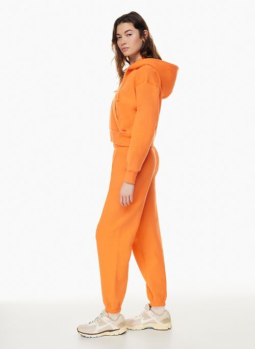 cozy fleece boyfriend boxy zip hoodie sold by Aritzia product image thumbnail 4