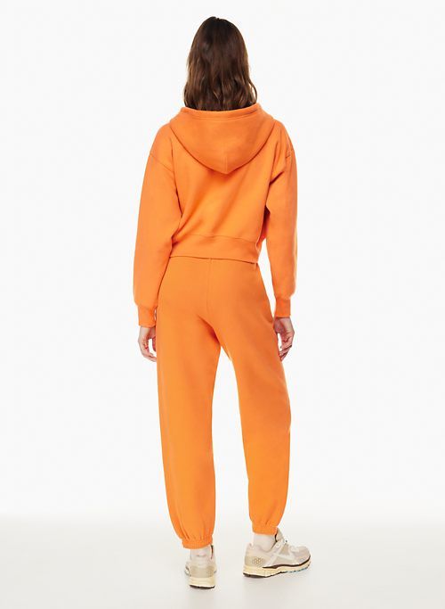cozy fleece boyfriend boxy zip hoodie sold by Aritzia product image thumbnail 5
