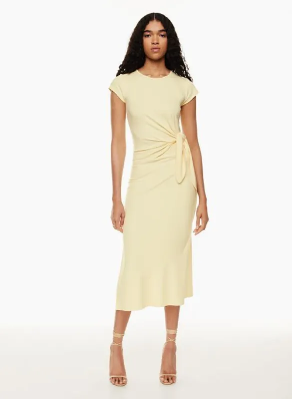 fortune midi dress sold by Aritzia