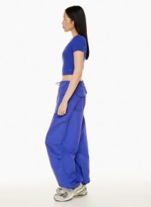 aviator parachute pant sold by Aritzia