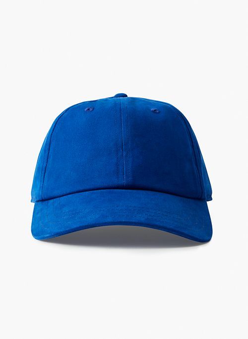 dad baseball cap sold by Aritzia