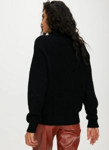 montpellier turtleneck sold by Aritzia