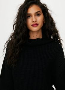 montpellier turtleneck sold by Aritzia