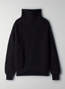 montpellier turtleneck sold by Aritzia
