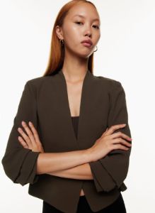power blazer sold by Aritzia