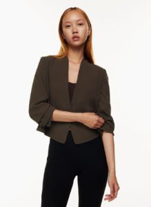 power blazer sold by Aritzia