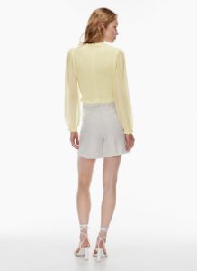 tempest blouse sold by Aritzia