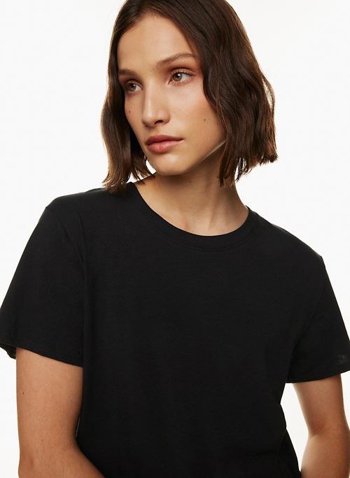foundation relaxed hip t-shirt sold by Aritzia product image thumbnail 2