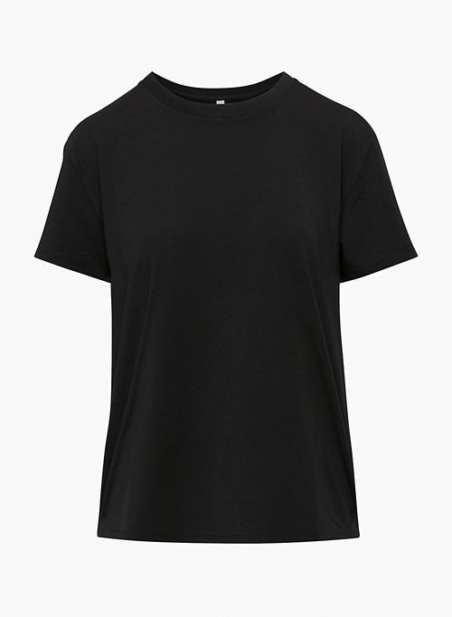 foundation relaxed hip t-shirt sold by Aritzia product image thumbnail 6