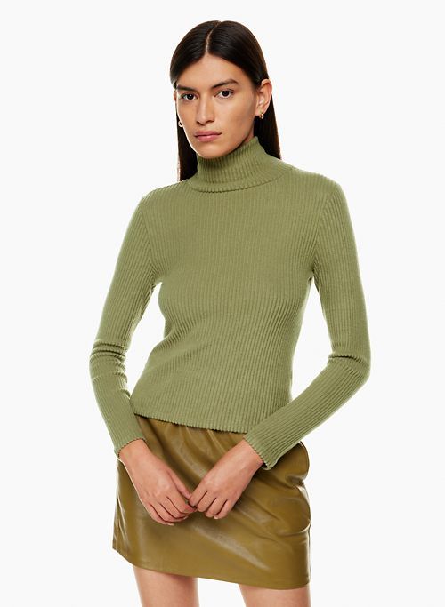 traverse turtleneck sold by Aritzia
