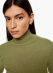 traverse turtleneck sold by Aritzia