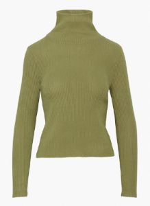 traverse turtleneck sold by Aritzia