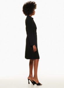 adira trench coat sold by Aritzia
