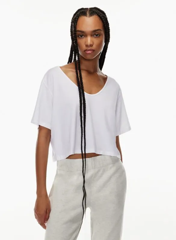 foundation v-neck cropped t-shirt sold by Aritzia