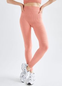 balsam seamless legging sold by Aritzia