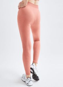 balsam seamless legging sold by Aritzia