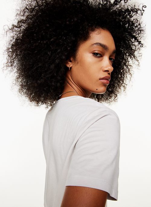 foundation v-neck t-shirt sold by Aritzia product image thumbnail 4