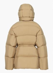 the chalet puffer sold by Aritzia