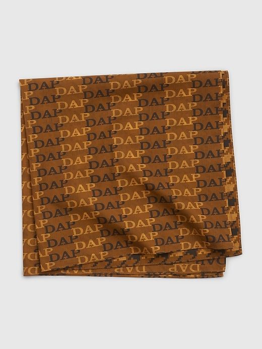 DAP × GAP Logo Scarf sold by GAP