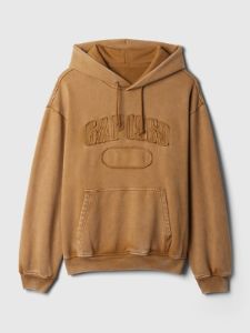Heavyweight Gap 1969 Logo Hoodie sold by GAP