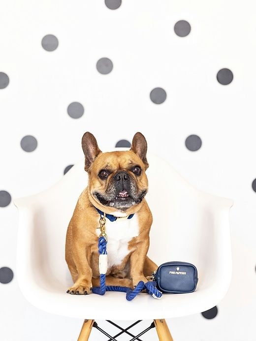 BFF Mini Dog Potty Bag Holder sold by GAP product image thumbnail 3
