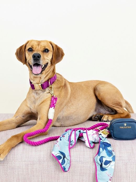 BFF Mini Dog Potty Bag Holder sold by GAP product image thumbnail 4