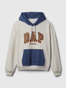 DAP × GAP Colorblock Logo Hoodie sold by GAP
