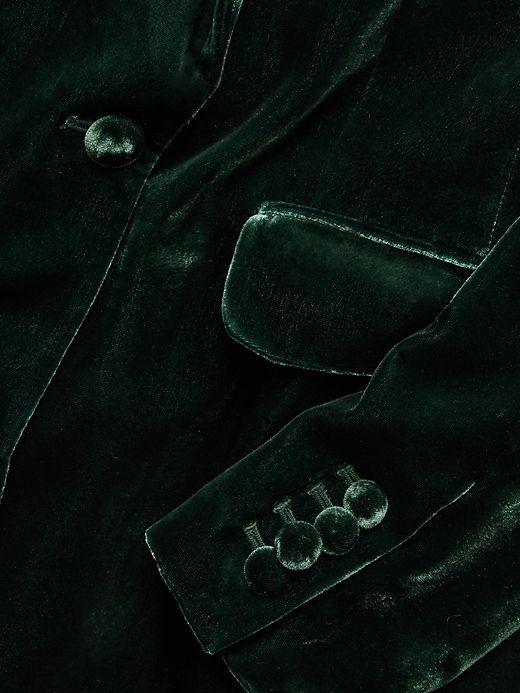 Alyse Relaxed Velvet Blazer sold by Banana Republic product image thumbnail 5