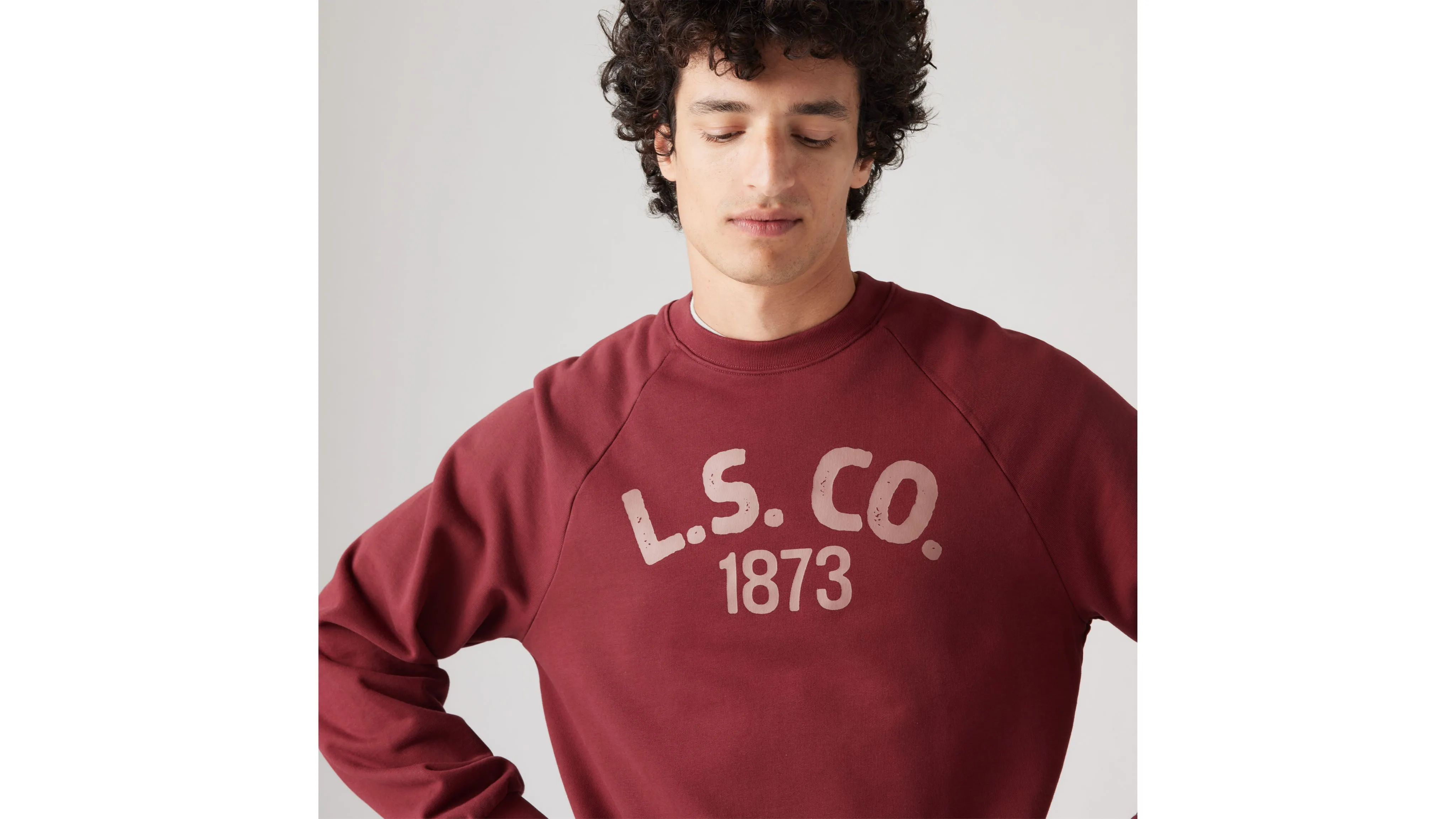 Raglan Graphic Crewneck Sweatshirt sold by Levi's product image thumbnail 4
