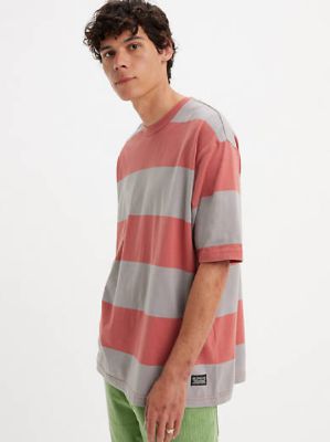 Levi's® Skateboarding™ Graphic Boxy T-Shirt sold by Levi's