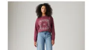 Graphic Everyday Crewneck Sweatshirt sold by Levi's