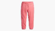 Everyday Sweatpants (Plus Size) sold by Levi's