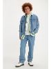 Loose Fit Men's Jeans sold by Levi's