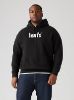 Relaxed Graphic Hoodie Sweatshirt (Big) sold by Levi's
