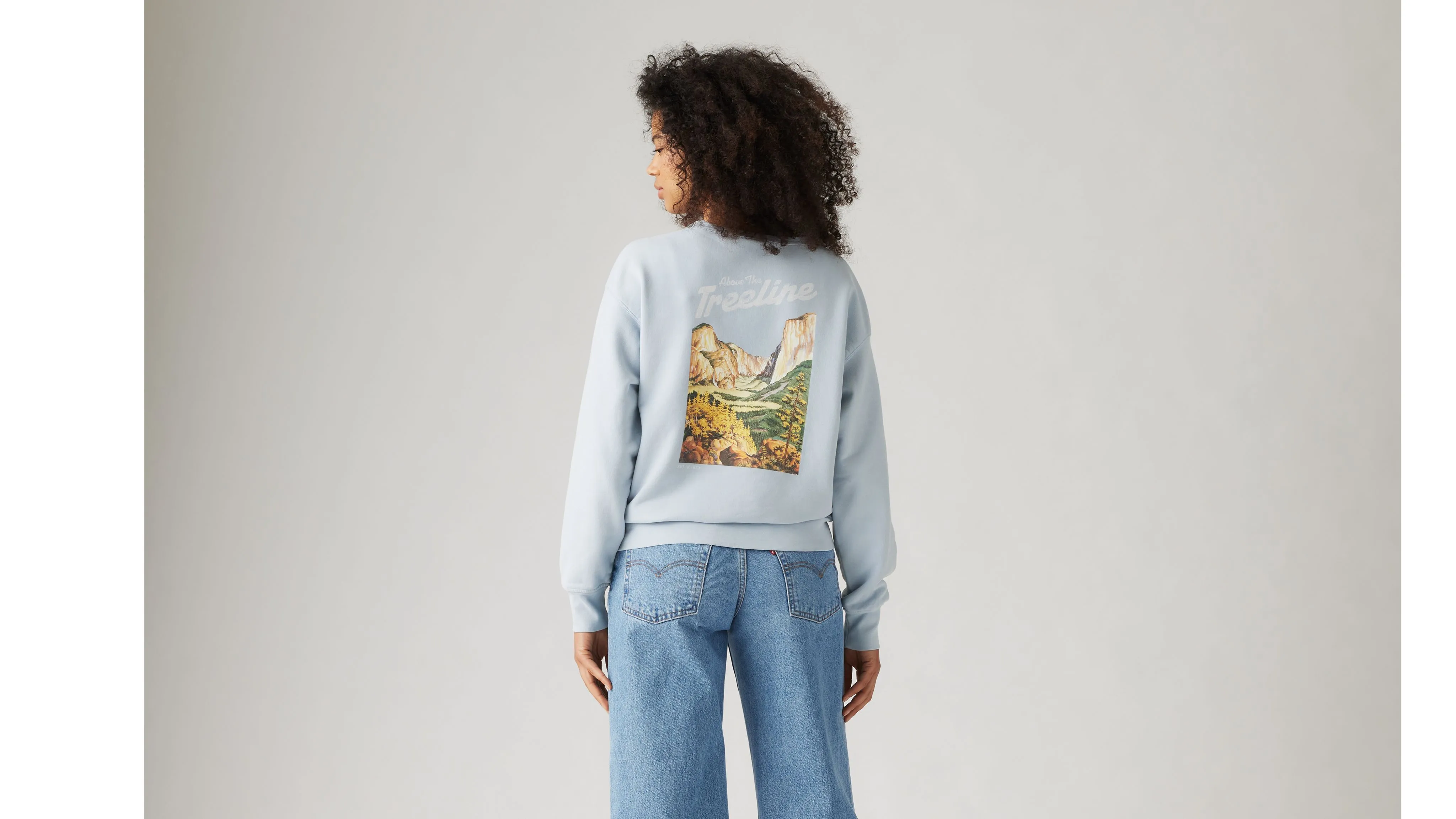 Graphic Heritage Crewneck Sweatshirt sold by Levi's product image thumbnail 3