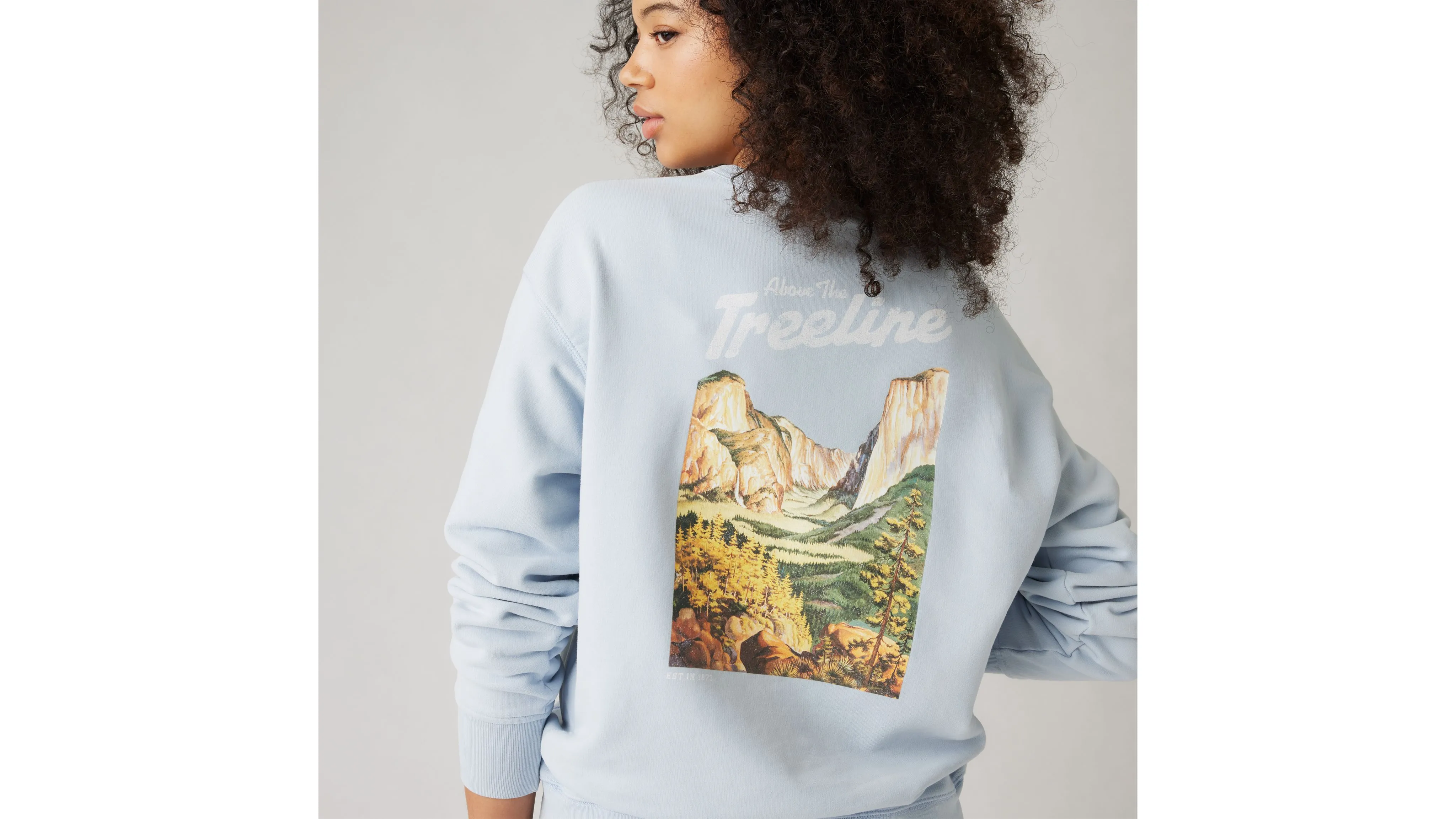 Graphic Heritage Crewneck Sweatshirt sold by Levi's product image thumbnail 4