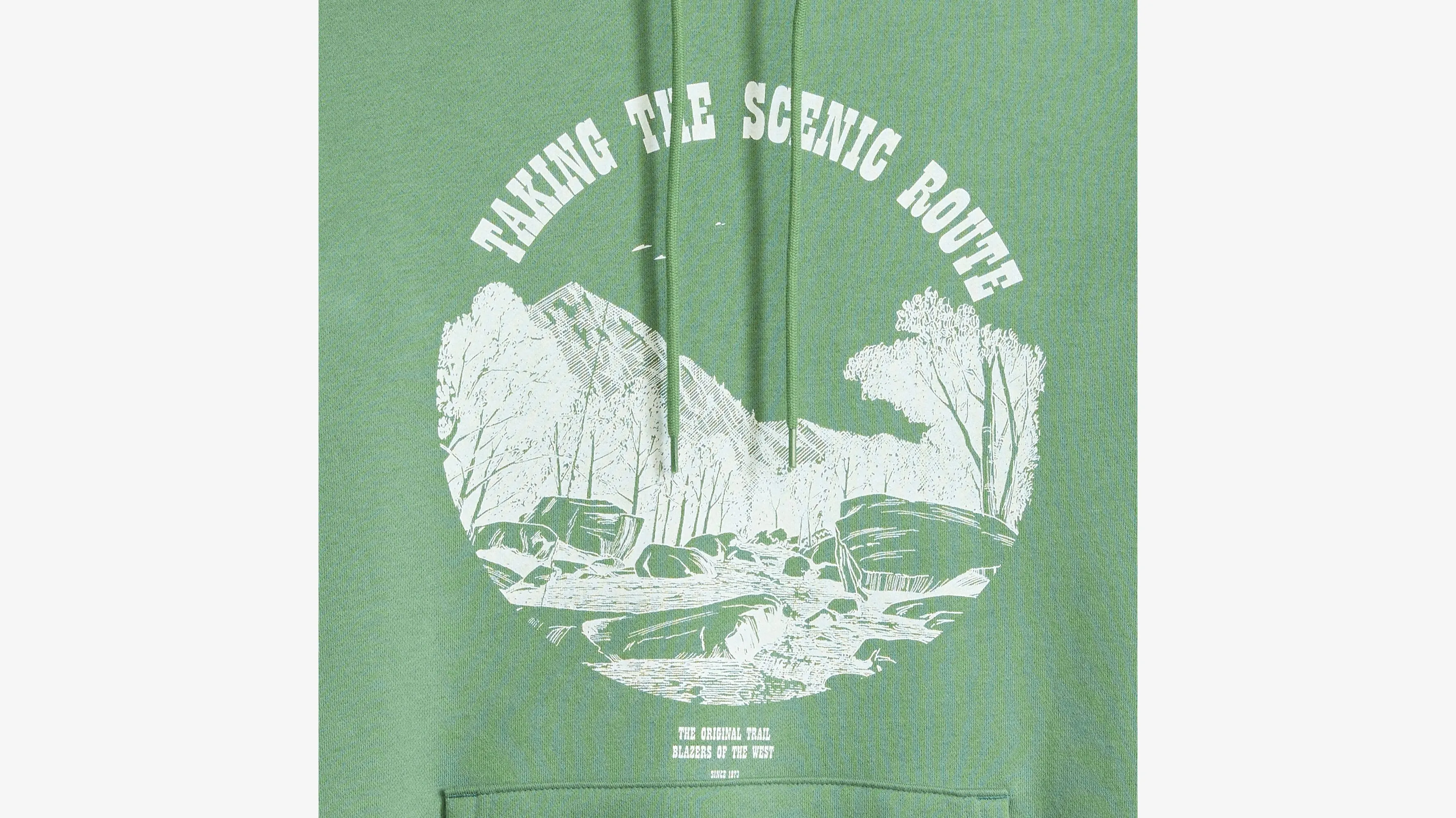 Standard Fit Graphic Hoodie Sweatshirt sold by Levi's product image thumbnail 4