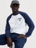 Long Sleeve Graphic Raglan T-Shirt sold by Levi's