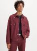 Western Trucker Jacket sold by Levi's