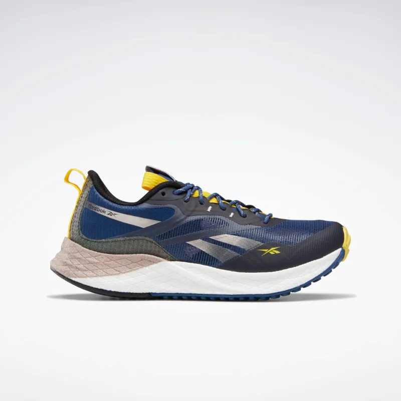 Reebok Footwear Women National Geographic Floatride Energy 3 Adventure Shoes Batblu/Quamet/Bolyel sold by Reebok