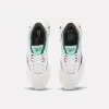 Reebok Footwear Men Zig Dynamica 5 Shoes CHALK/AI AQUA/VINTAGE CHALK sold by Reebok