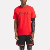 Reebok Apparel Men ERS Performance Compression Sleeve BLACK/GREY sold by Reebok