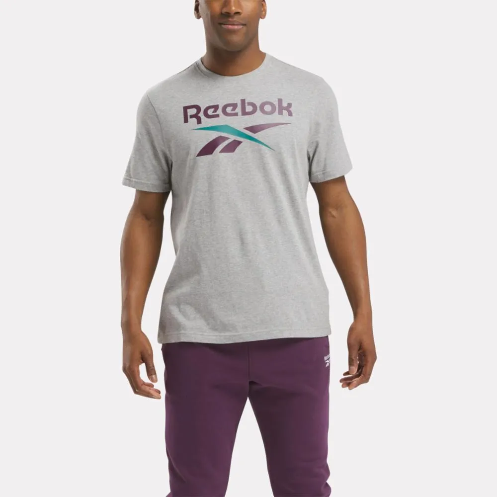 Reebok Apparel Men Reebok Identity Big Stacked Logo T-Shirt MGREYH/MIDNIGHT PLUM sold by Reebok