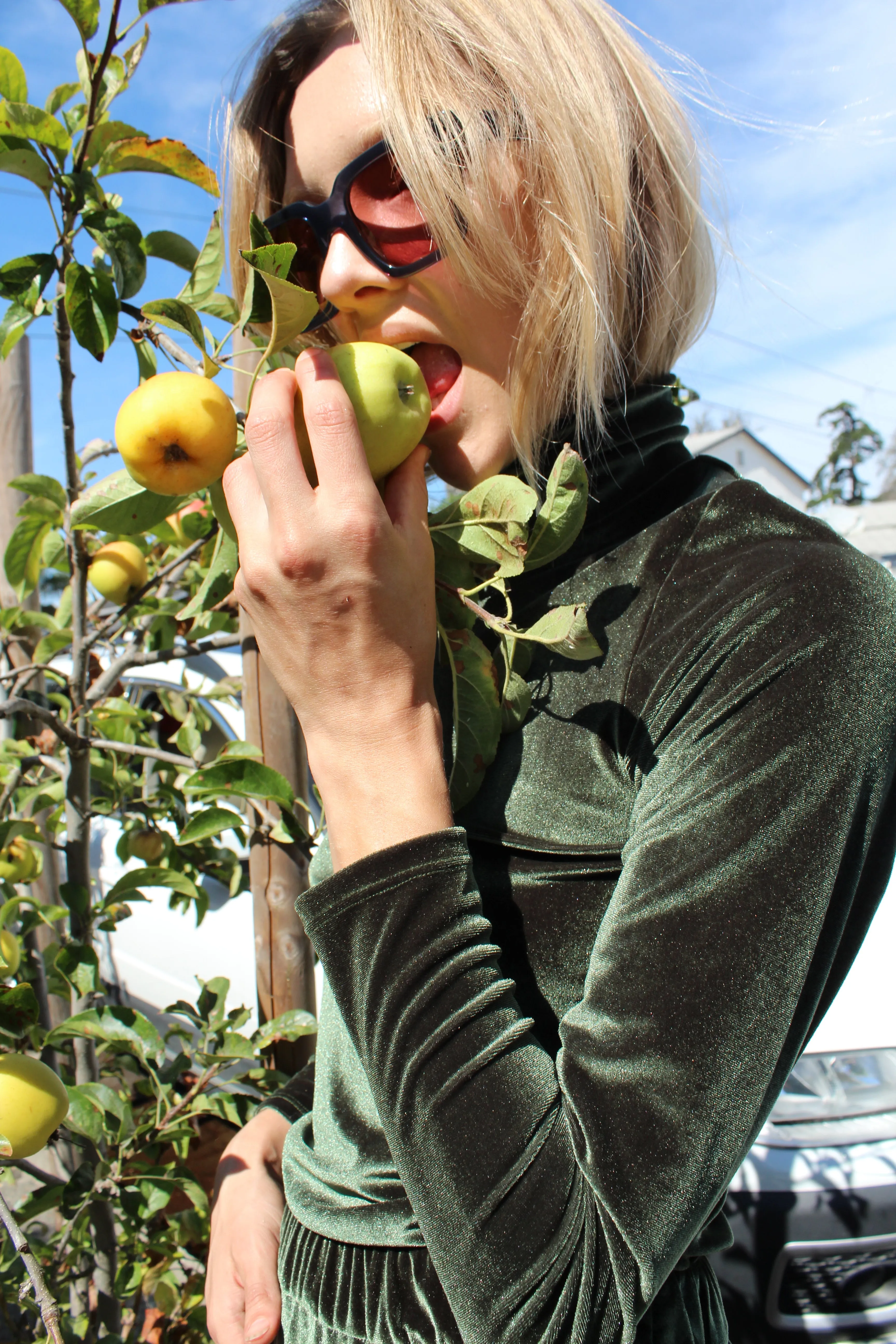 No.6 Ruffle Gloria Turtleneck Forest Velvet sold by Beklina product image thumbnail 4